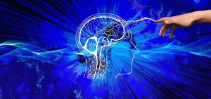 internet sulla psicologia umana